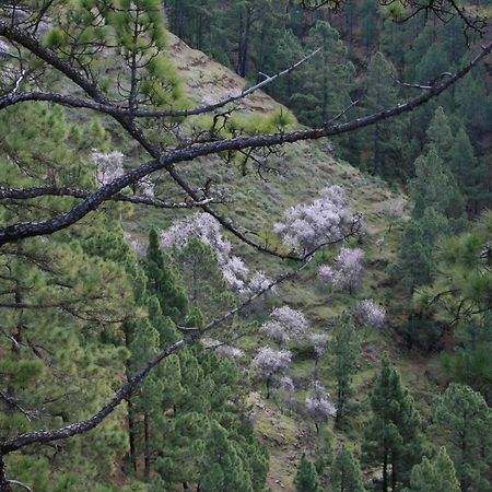 Casa Rural El Riachuelo Garafía Kültér fotó